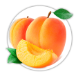 Абрикос Prunus armeniaca
