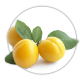 Алича Prunus domestica