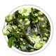 Айва чудова / Сhaenomeles speciosa Айва чудова / Сhaenomeles speciosa