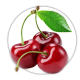 Черешня Prunus avium Черешня Prunus avium