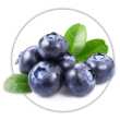 Лохина Vaccinium