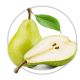 Груша Pyrus Груша Pyrus