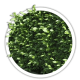 Бирючина Ligustrum