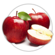 Яблуня Malus