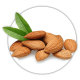 Мигдаль Prunus dulcis