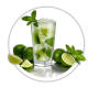 М'ята Mentha М'ята Mentha