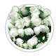 Чубушник Жасмін Philadelphus Чубушник Жасмін Philadelphus