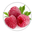 Малина Rubus