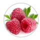 Малина Rubus Малина Rubus