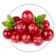 Журавлина Vaccinium Журавлина Vaccinium
