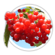 Калина звичайна Калина звичайна