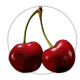 Вишня Prunus cerasus Вишня Prunus cerasus