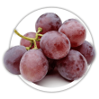 Виноград Vitis