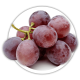 Виноград Vitis Виноград Vitis