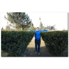 Тис ягідний Елегантіссіма | Тис ягодный Элегантиссима | Taxus baccata Elegantissima