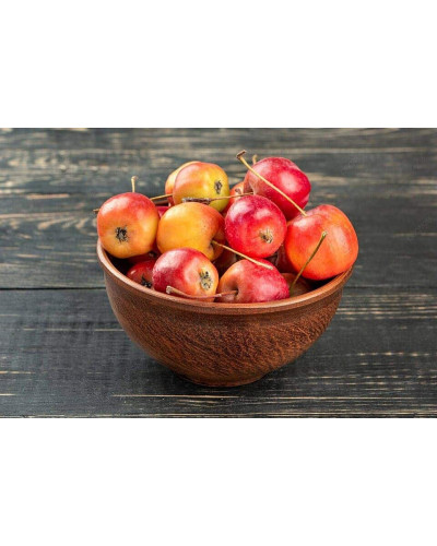 Яблуня червонолиста райська, Malus pumila, Paradise Apple Tree, купити, ціна, купити Київ, догляд, посадка, опис, фото.