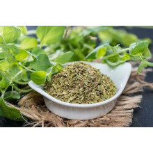 Материнка звичайна Компактум | Origanum vulgare Compactum | Душица обыкновенная Компактум