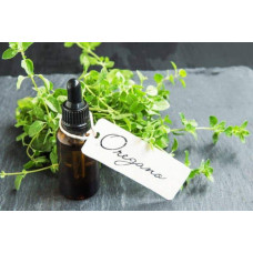 Материнка звичайна Компактум | Origanum vulgare Compactum | Душица обыкновенная Компактум