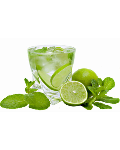 М’ята коктейльна Мохіто | Mentha nemorosa Mokhito/Mojito | Мята коктейльная Мохито