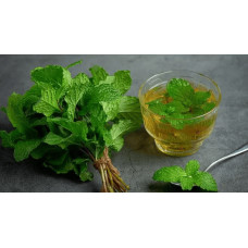 М’ята коктейльна Мохіто | Mentha nemorosa Mokhito/Mojito | Мята коктейльная Мохито