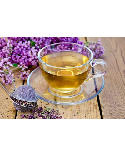 Душиця/ Орегано / Материнка звичайна Ауреа | Origanum vulgare Aurea | Душица / Орегано / Материнка обычная Ауреа