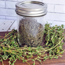 Чебрець лимонний Голден Лемон | Thymus citriodorus Golden Lemon | Тимьян лимонный Голден Лемон