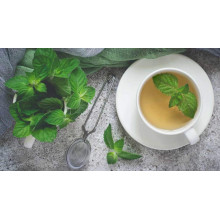 М’ята гібридна імбирна Джинджер Мінт | Mentha Ginger Mint | Мята гибридная имбирная Джинджер Минт