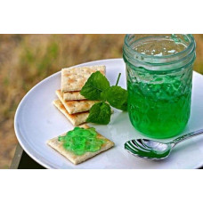 М’ята гібридна імбирна Джинджер Мінт | Mentha Ginger Mint | Мята гибридная имбирная Джинджер Минт