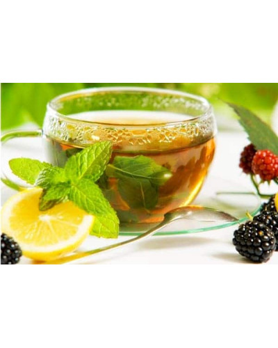 М’ята перцева апельсинова Гранада | Mentha piperita Granada | Мята перечная апельсиновая Гранада
