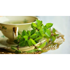 М’ята перцева апельсинова Гранада | Mentha piperita Granada | Мята перечная апельсиновая Гранада