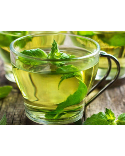 М’ята перцева апельсинова Гранада | Mentha piperita Granada | Мята перечная апельсиновая Гранада