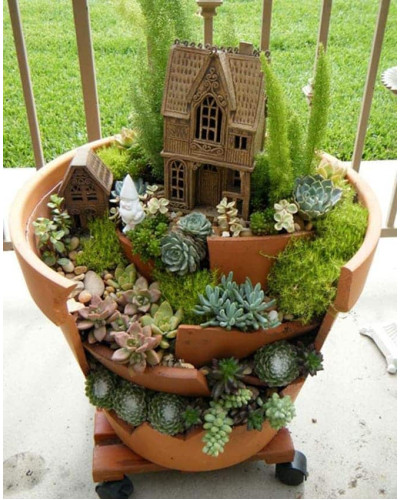 Молодило покрівельне Оддіті | Sempervivum tectorum Oddity | Молодило кровельное Оддити