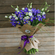 Ірис низький Блю / Півник | Iris humilis Blue | Ирис низкий Блю /Касатик / Петушок