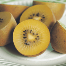 Актинідія делікатесна Голд (жовтом’ясий ківі) | Actinidia deliciosa ‘Gold’ | Актинидия деликатесная Голд (желтомясный киви)