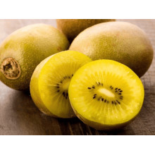 Актинідія делікатесна Голд (жовтом’ясий ківі) | Actinidia deliciosa ‘Gold’ | Актинидия деликатесная Голд (желтомясный киви)