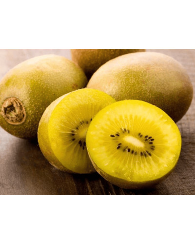 Актинідія делікатесна Голд (жовтом’ясий ківі) | Actinidia deliciosa ‘Gold’ | Актинидия деликатесная Голд (желтомясный киви)
