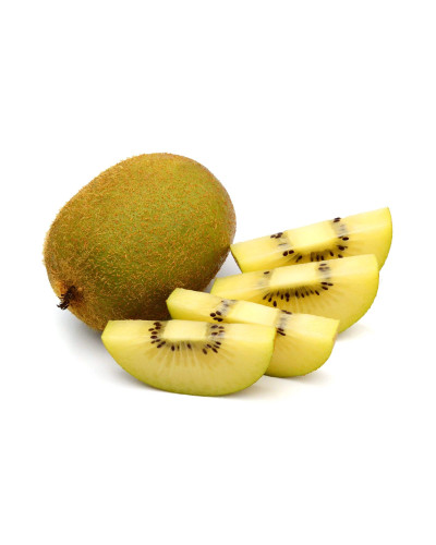 Актинідія делікатесна Голд (жовтом’ясий ківі) | Actinidia deliciosa ‘Gold’ | Актинидия деликатесная Голд (желтомясный киви)