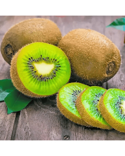 Актинідія делікатесна Закарпатський (самоплідний) | Actinidia deliciosa ‘Закарпатський’ | Актинидия деликатесная Закарпатский (самоплодный)