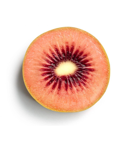 Ківі / Актинідія делікатесна Зеспрі Ред (червоном’ясий) | Actinidia deliciosa `Zespri Red` | Киви / Актинидия деликатесная Зеспри Ред (красномясый)