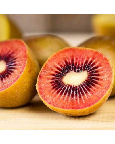 Ківі / Актинідія делікатесна Зеспрі Ред (червоном’ясий) | Actinidia deliciosa `Zespri Red` | Киви / Актинидия деликатесная Зеспри Ред (красномясый)