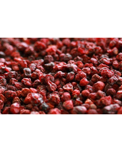 Лимонник китайський / Шизандра | Schisandra chinensisЛимонник китайський / Шизандра | Schisandra chinensis
