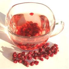 Лимонник китайський / Шизандра | Schisandra chinensisЛимонник китайський / Шизандра | Schisandra chinensis