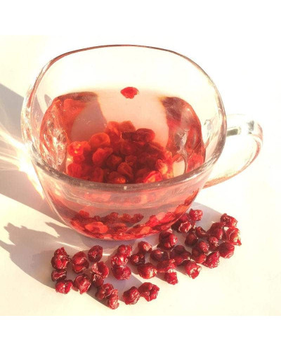 Лимонник китайський / Шизандра | Schisandra chinensisЛимонник китайський / Шизандра | Schisandra chinensis