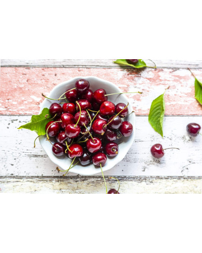 Черешня Гігантелла / Гігант Ред (середня) | Prunus avium Giantella / Giant Red (middle) | Черешня Гигантелла / Гигант Ред (средняя)