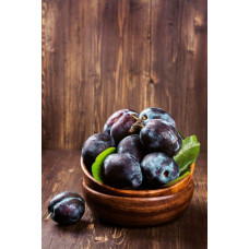 Слива домашня Блек Джем (середня) | Prunus domestica Black Gem (middle) | Слива домашняя Блек Джем (средняя)