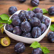 Слива домашня Блек Джем (середня) | Prunus domestica Black Gem (middle) | Слива домашняя Блек Джем (средняя)