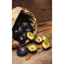 Слива домашня Блек Джем (середня) | Prunus domestica Black Gem (middle) | Слива домашняя Блек Джем (средняя)