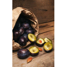 Слива домашня Блек Джем (середня) | Prunus domestica Black Gem (middle) | Слива домашняя Блек Джем (средняя)