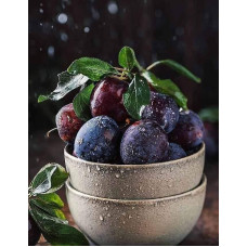 Слива домашня Блек Джем (середня) | Prunus domestica Black Gem (middle) | Слива домашняя Блек Джем (средняя)