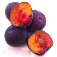 Абрикос ‘Монарезі’ (чорний абрикос)|Prunus Armeniaca ‘Monarezi’|Абрикос ‘Монарези’ (черный абрикос)
